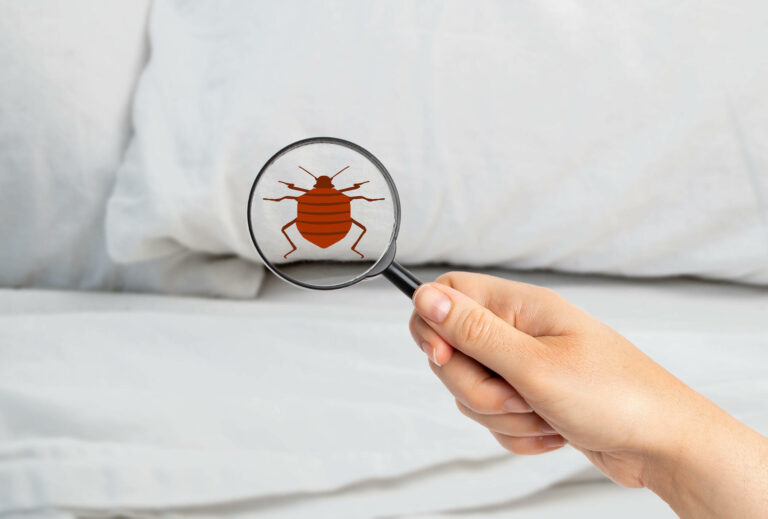 Prepping for Pest Control: How to Prepare Your Home for Treatment